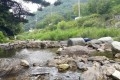 동두천시, 탑동계곡 환경정화 자원봉사활동 전개
